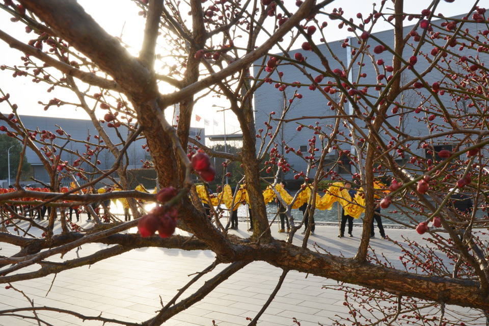 祥蛇映春暉 新歲啟新程——巨人工業園喜迎開工 祥蛇映春暉 新歲啟新程——巨人工業園喜迎開工